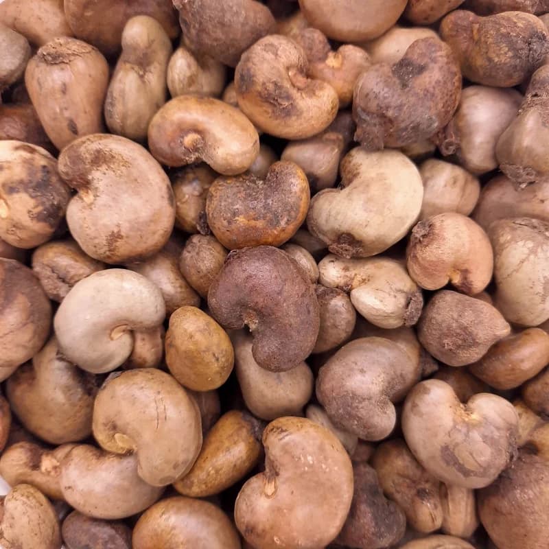 Raw Cashew