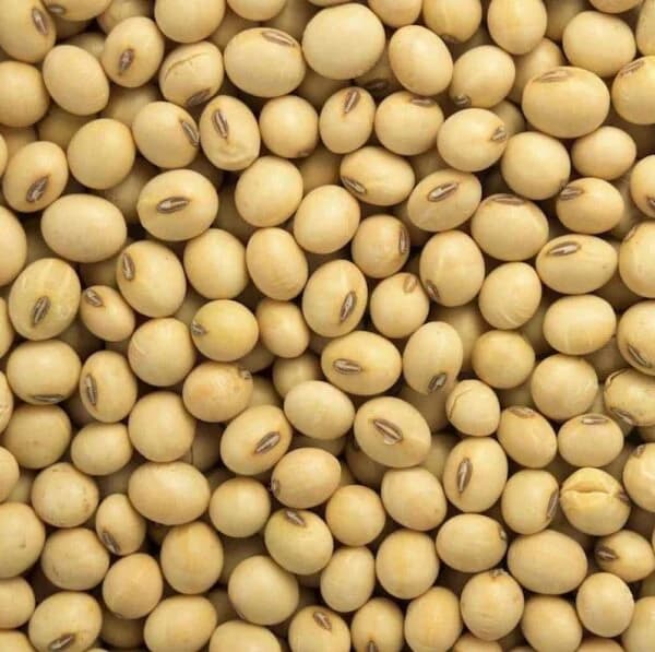 Soybeans