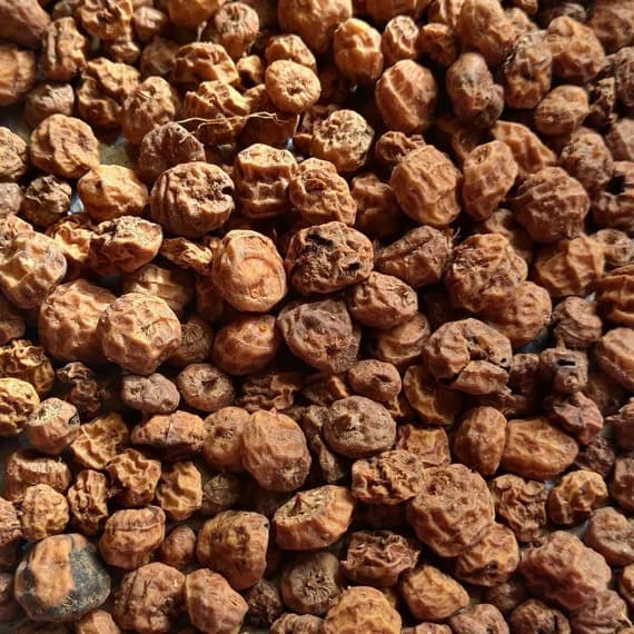 Tiger Nuts
